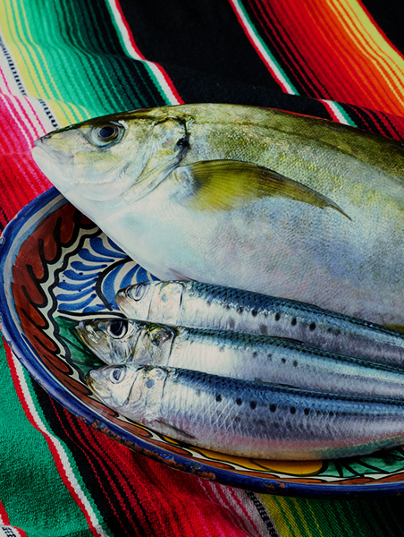 魚
