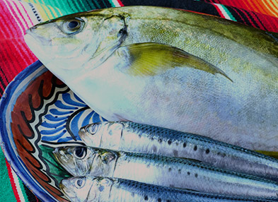 魚